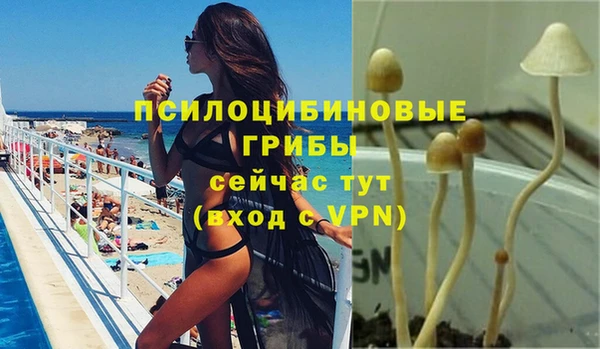 бутират Нязепетровск